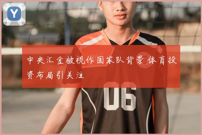 中央汇金被视作国家队背景 体育投资布局引关注