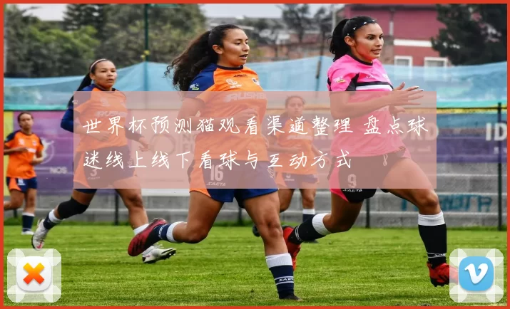 世界杯预测猫观看渠道整理 盘点球迷线上线下看球与互动方式