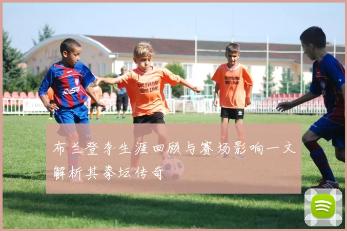 布兰登李生涯回顾与赛场影响一文解析其拳坛传奇