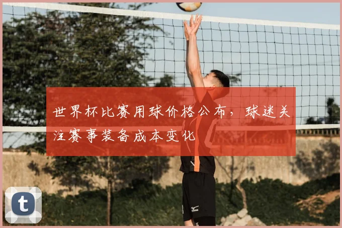 世界杯比赛用球价格公布，球迷关注赛事装备成本变化